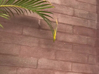 kimytv 10 March 2020