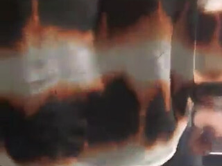 downundercple creature