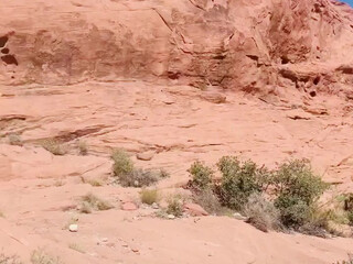 tsvegasvalentine 10 January 2020