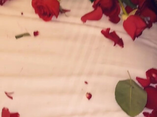 ms fernandes 25 09 august 2020