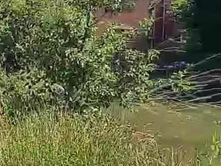 lola lily xxx big breasted bitch posing in lingerie