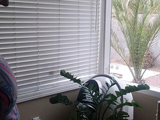 tiffanystarbbw show recordings include her teasing