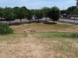 unicornprincessjayne put two fingers into her anus