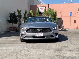 siripornstar a nice babe kneads her cunt