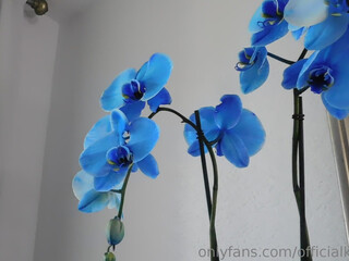 officialkmbooty Fantastic fuck