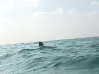 o92oo painted confused caresses shaved holes