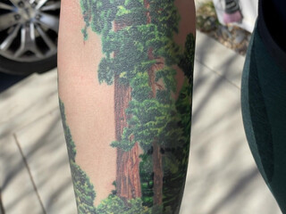 kaylynnkay bong anchovies in red