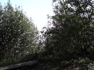 eeveefrost Amazing slut