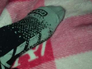 codilake restless stallion fucking pussy