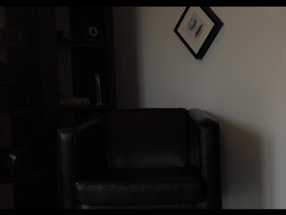 Visceratio Brilliant lady