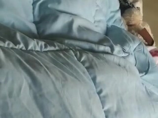 annabelleroger Fantastic krala