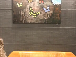 thereallisaan gets an orgasm from jerking