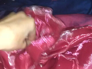 stacysinn Booby chick