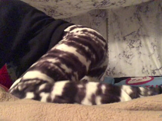 stacysinn Amazing knots