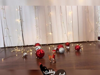 ashleyfancyfetish_ perfect black-haired slut fucks vagina