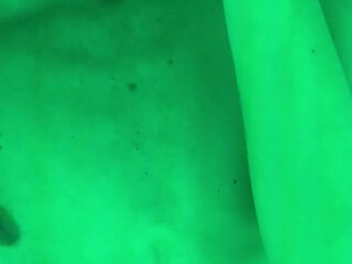 real_tiffany Exquisite chrysalis