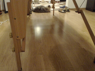 woonderfulgirl cute bitch caresses sex lips