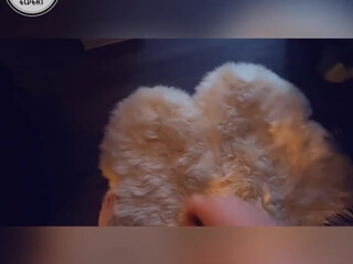 ?ҿ?ll?? Exciting striptease