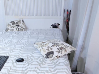 sweetgirlandbigcock chaturbate pretty woman with perfect figure shows her skills on a pole