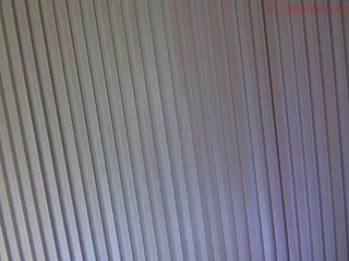 snowwhite4you myfreecams desired babe cums from erotic dance