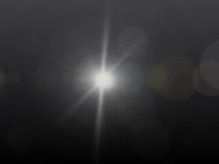 Krystal Orchid  27 September 2020