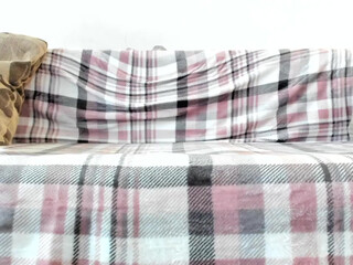 _luckycharms ardent slut licks dildo