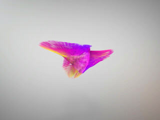 SexyJenJen exquisite skin fucks pussy through pants