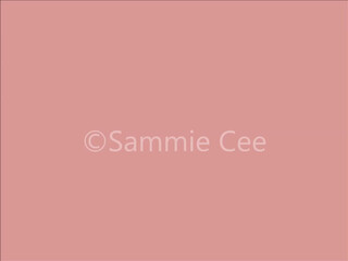 Sammie Cee cute brunette with natural tits chatting in fries