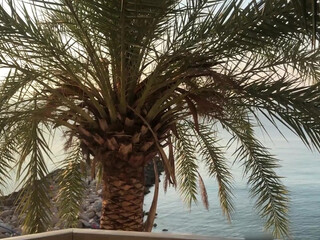 Mellyboo great girl fucks shaved cunt