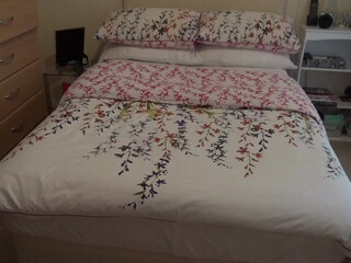 AshleyRider Hot asian