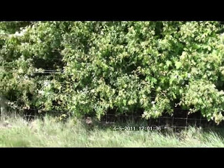 michellemoist slutty bitch having fun with a rubber dick