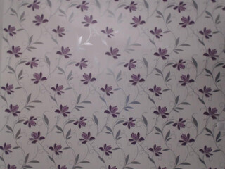 lilcharlotte titty  cam girl  jerks off in  private e