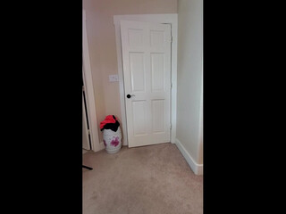 Victoria_Lobov 09 april 2020