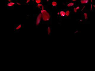 Riley_Cyriis luxurious blonde passionately pulls pussy