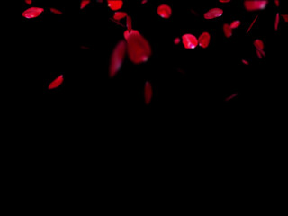 Riley_Cyriis sexy lady fucks shaved holes