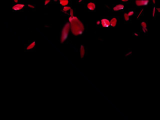 Riley_Cyriis gorgeous babe took off her panties and bra