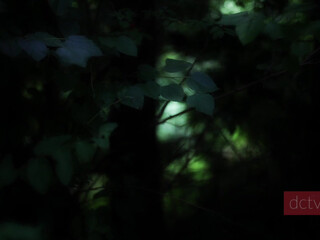 Delilah_Cass juicy pussy fucks vaginal opening