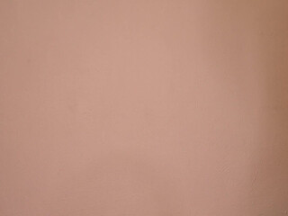 Brazilian_girl Vagina large