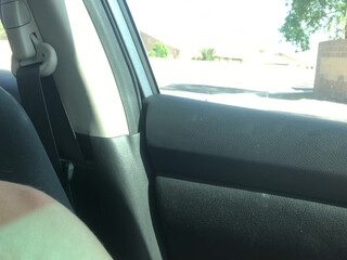 Holly_Holiday great figure