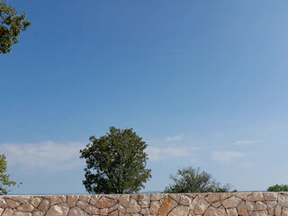 Lina Arian Joy Onlyfans pretty female having fun with phallus