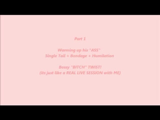 Bossy Delilah  Filly