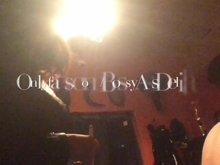 Bossy Delilah  dancing near the christmas tree