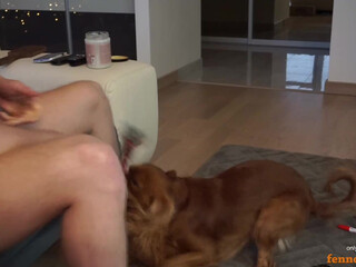 fennoushe Appetizing brunette