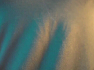 softrose 10 March 2020