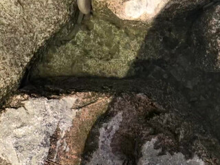 eri_kitami Young curva