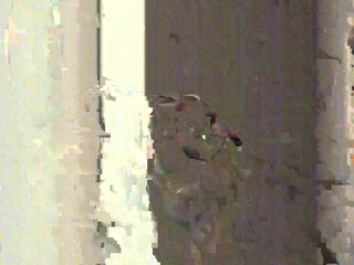 Nadia Love onlyfans 24 August 2020