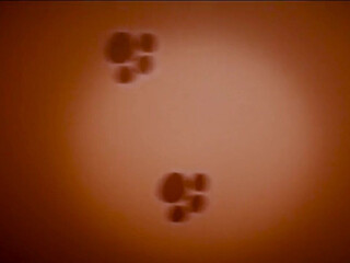 Lis_xxx luxurious blonde straddled sex toy