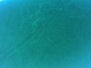 OnlyFans Emily_Rinaudo moaning vagina