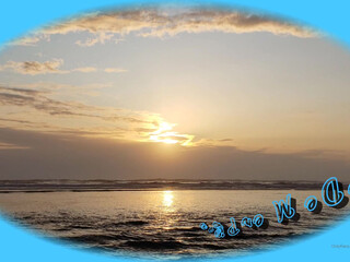 syrendemerxxx 28 January 2020