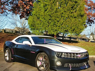 syrendemerxxx punt sucks sex toy